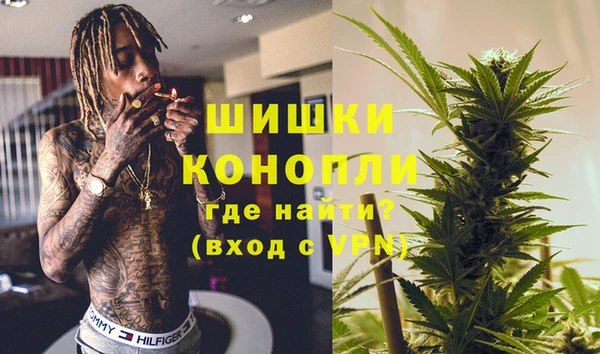 шишки Богородицк