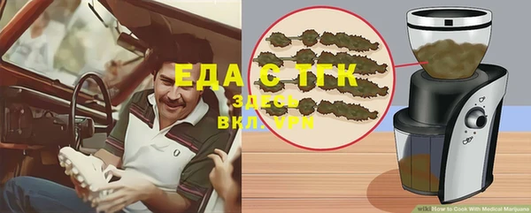 шишки Богородицк