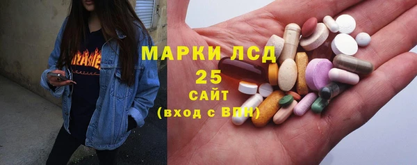 spice Богородск