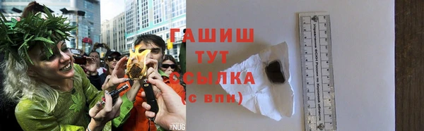 шишки Богородицк