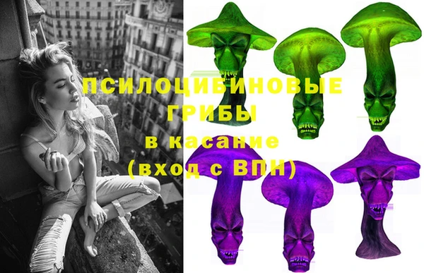 шишки Богородицк