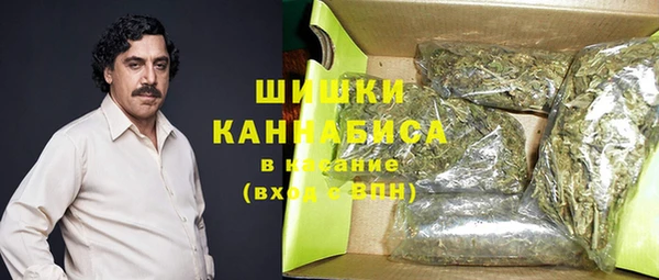 spice Богородск