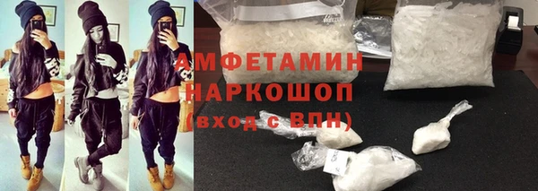 шишки Богородицк